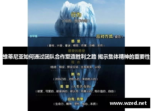 维蒂尼亚如何通过团队合作塑造胜利之路 揭示集体精神的重要性